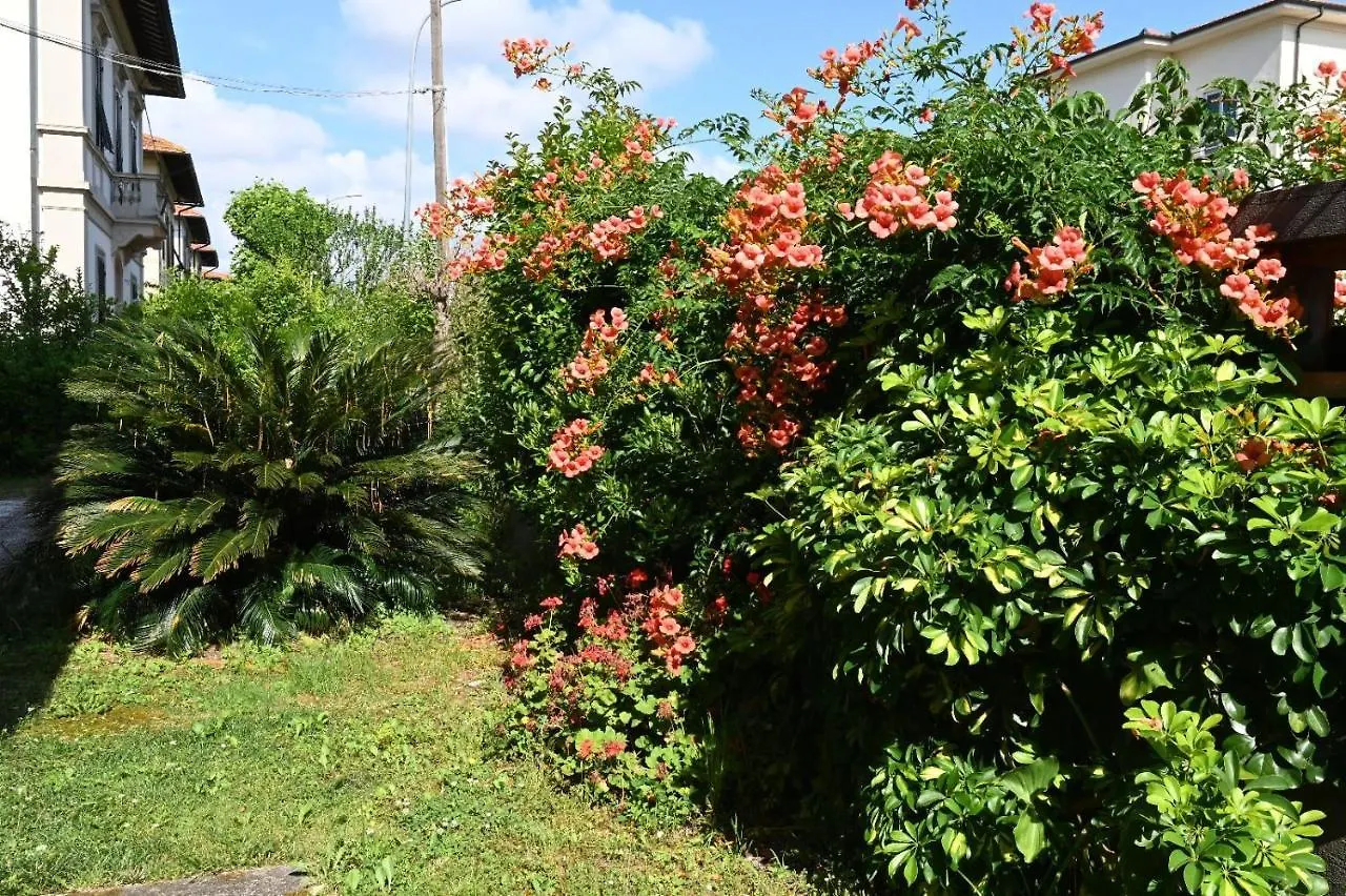 Villa Mehari Pisa Italia